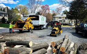 How Our Tree Care Process Works  in  Eureka, MT